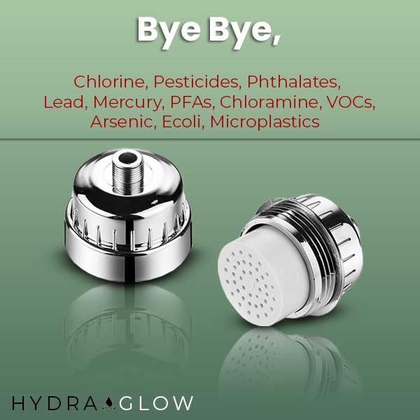 20 Stage Revitalizing Shower Purifier